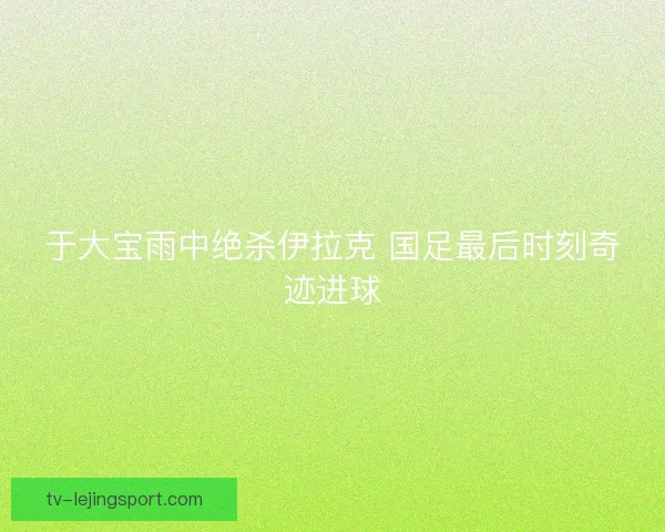 于大宝雨中绝杀伊拉克 国足最后时刻奇迹进球 于大宝雨中绝杀伊拉克 国足最后时刻奇迹进球